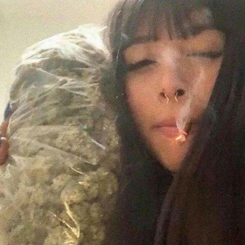 nuts avatar