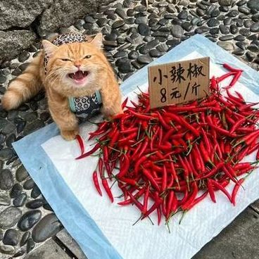 4reN-