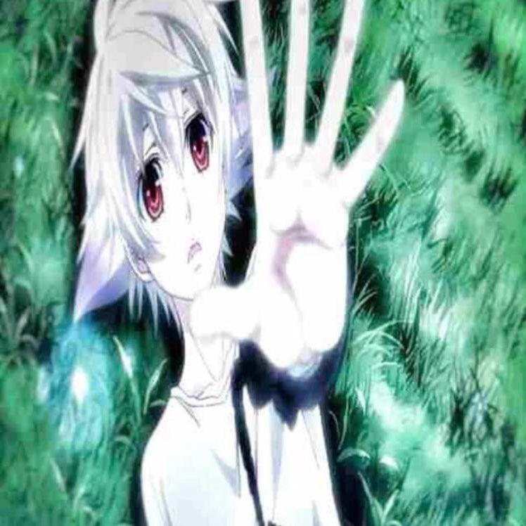 grugohysatin avatar
