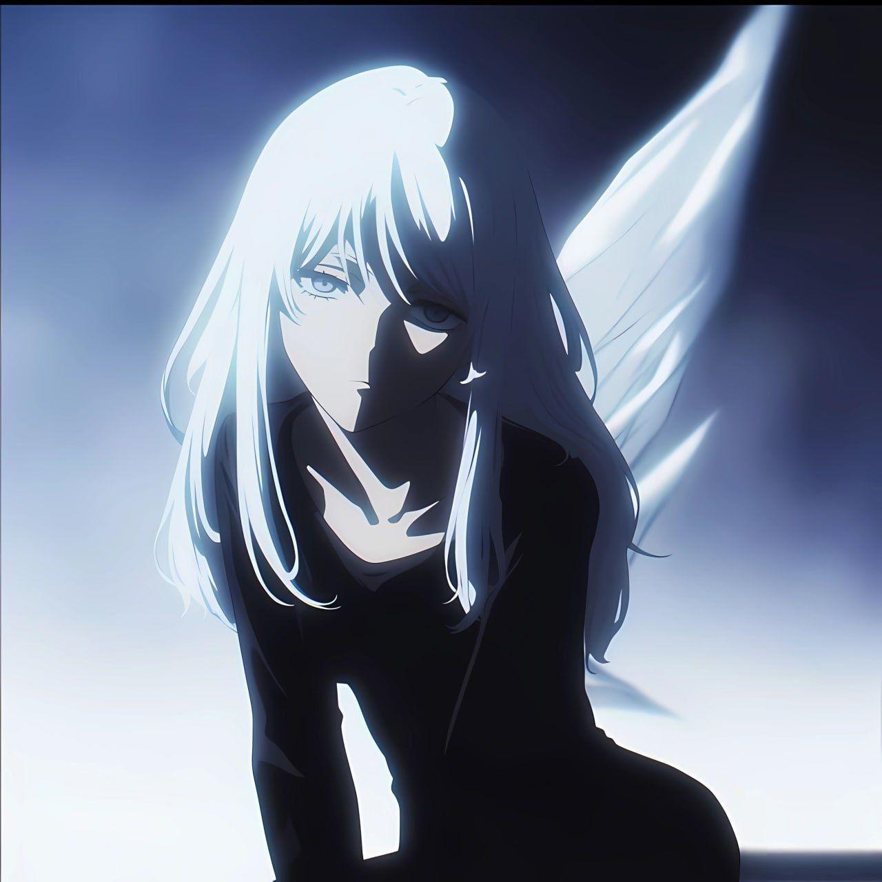 meferovvvl avatar