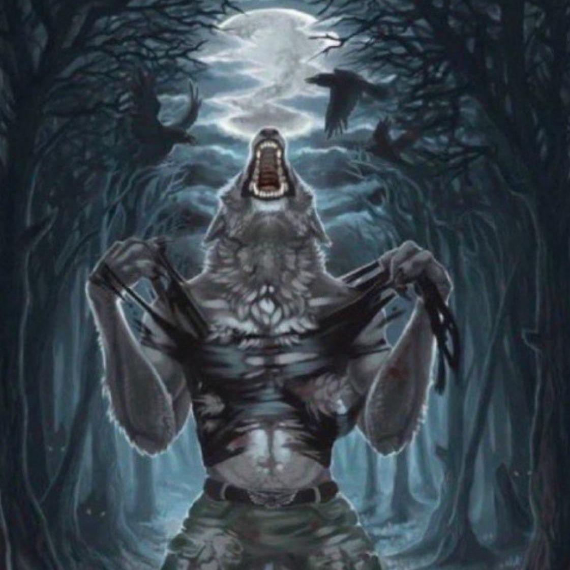 stifuzi9n avatar