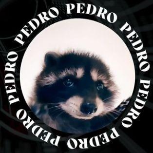 28Pedr0 avatar