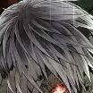 kevin_1337_X avatar