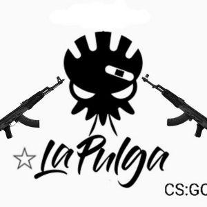 La_Pulga1 avatar