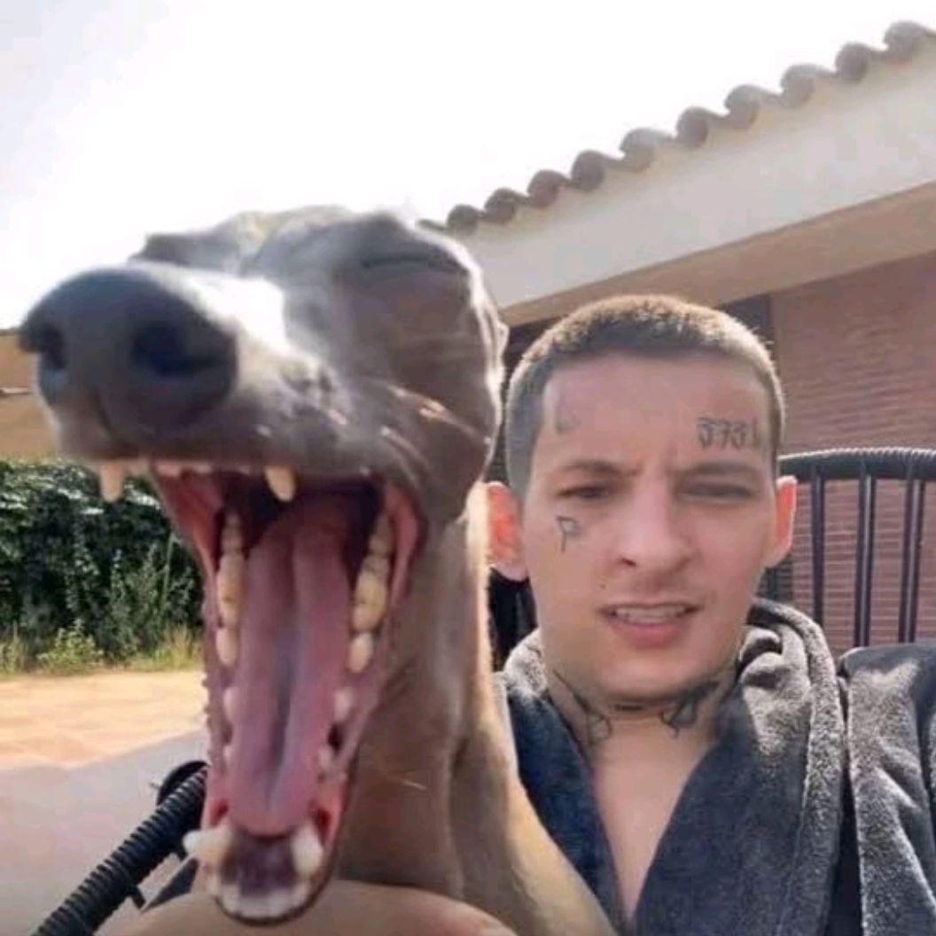 Qwexx66