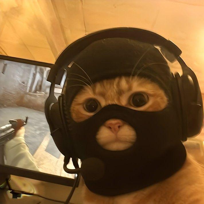 ayreq avatar