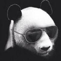 Pinionc avatar