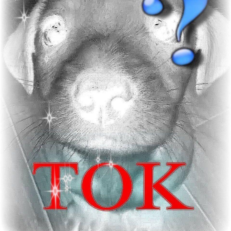 TOKDESTROYER avatar