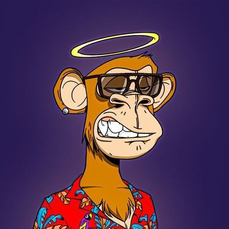 LudiZeza