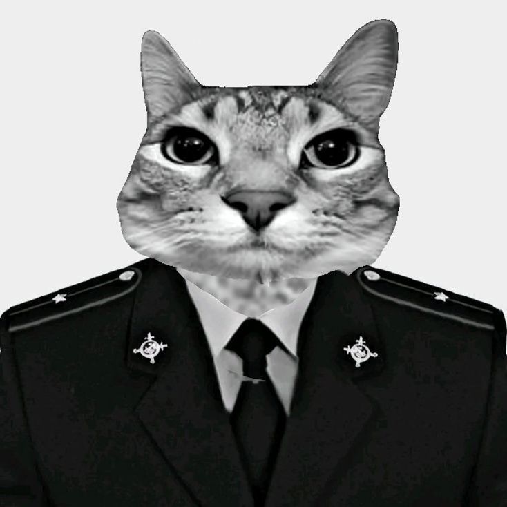 doroqu322