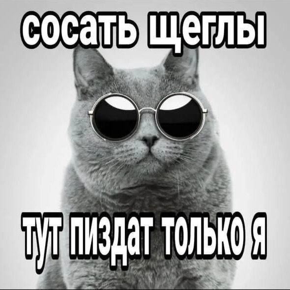 Ponedilnyk