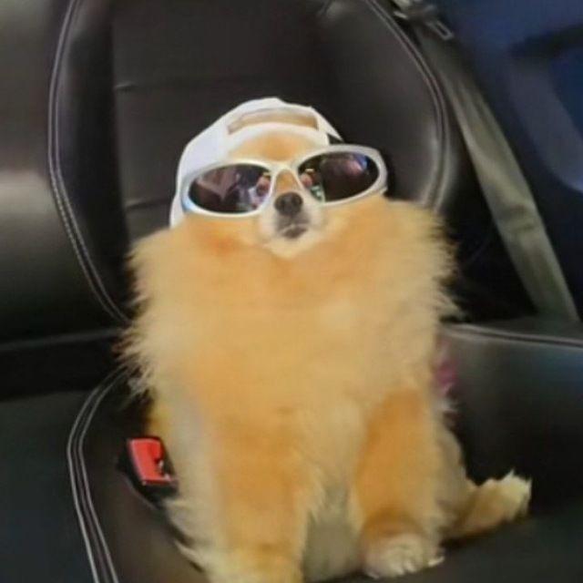 revo1uti0n_ avatar