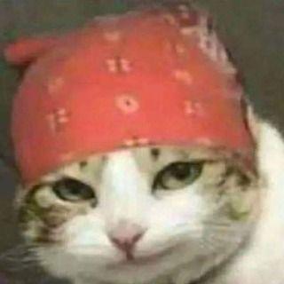 1cmzz avatar