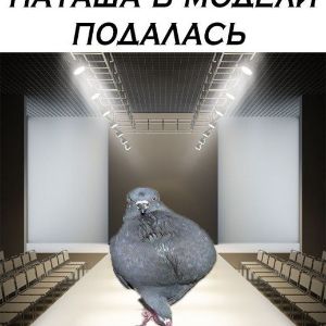 10 lvl
