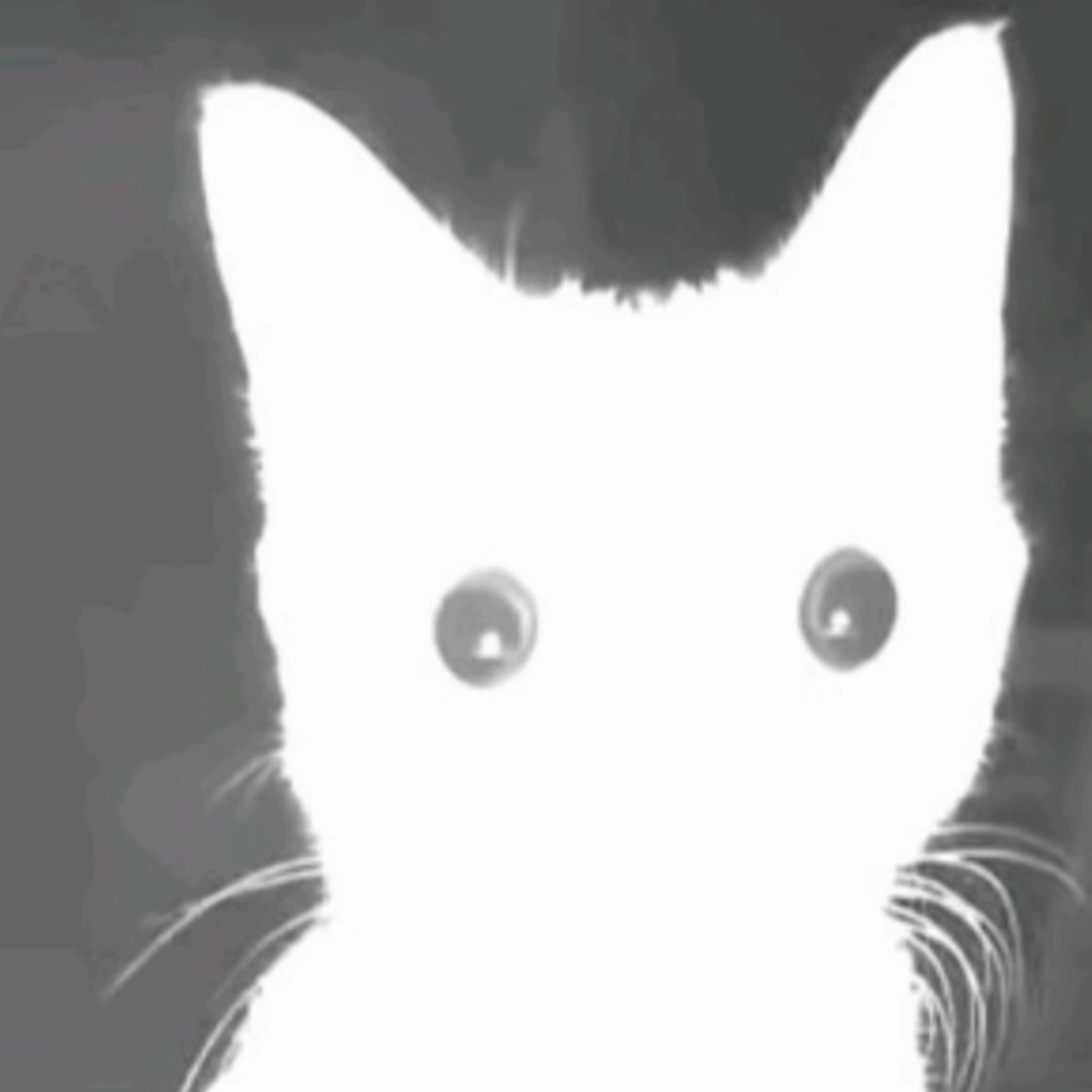 januarymaupa