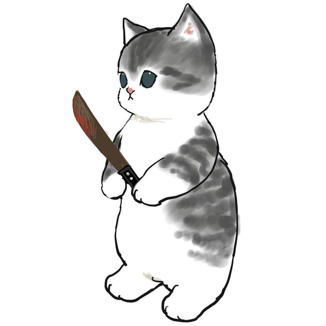 kot_meow02 avatar