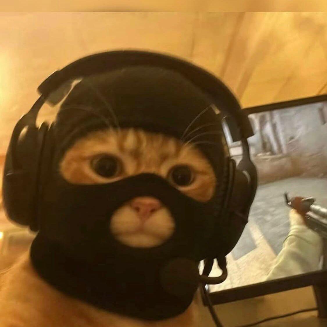 dlxonx avatar