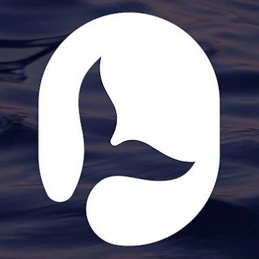 WhaleWave