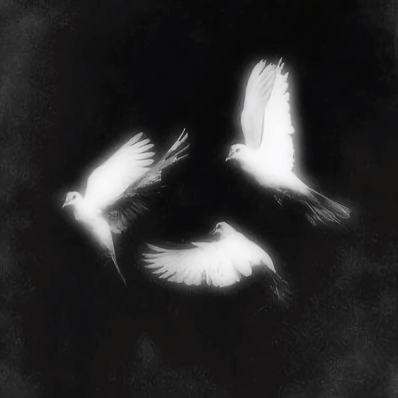 KiTLOR avatar
