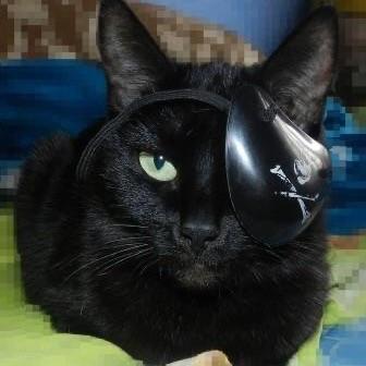_d0NN avatar
