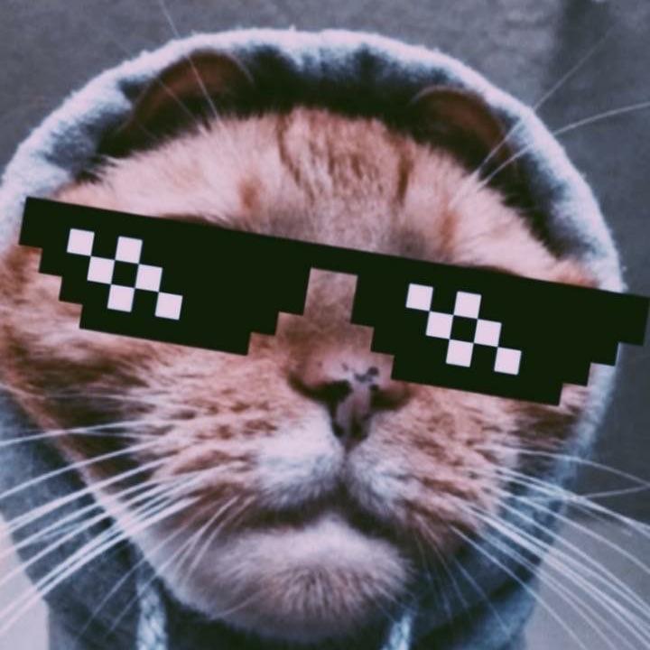otabekovc_7 avatar