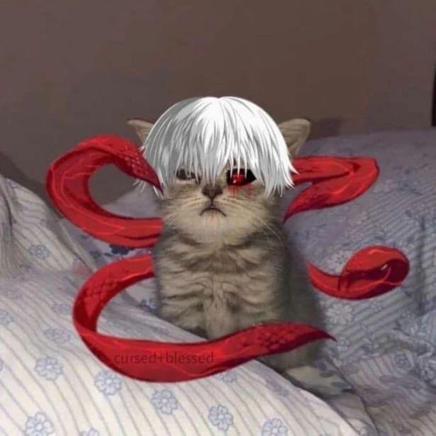 aimzi4 avatar