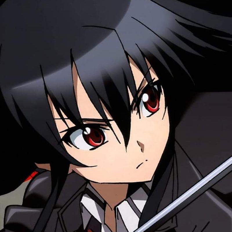 A1kamecs avatar