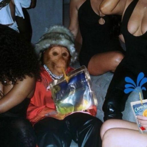Barkie avatar