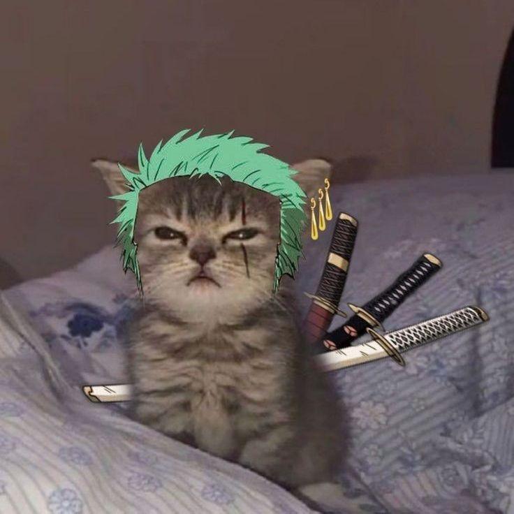 erenbars