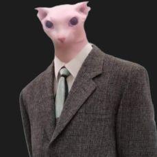 ryn avatar