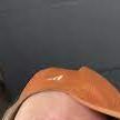 bot_antsi