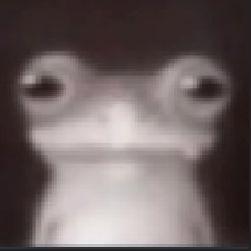chetofu avatar