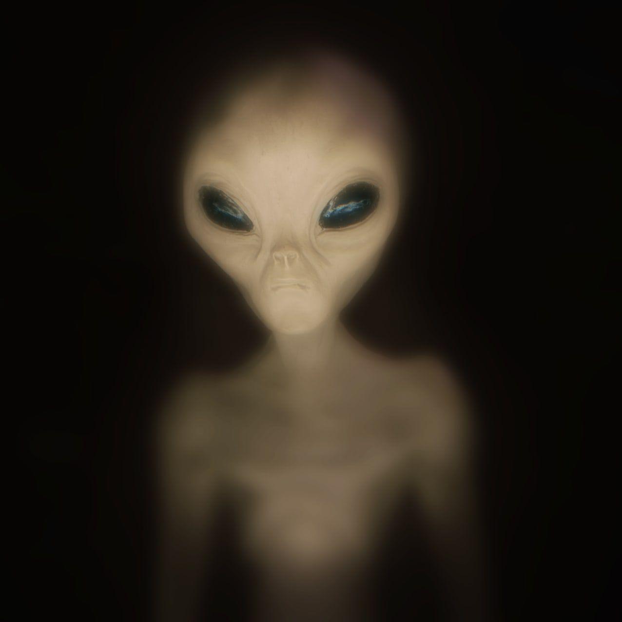 Y4bbi avatar