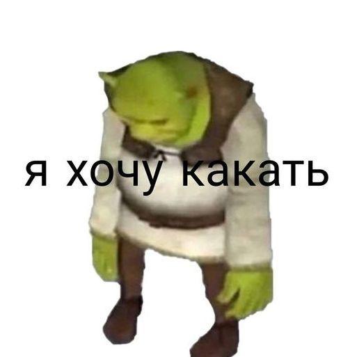 mishania222 avatar