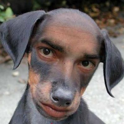 CL3N3R1337 avatar