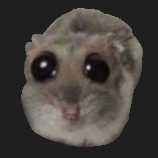 WeightYT avatar