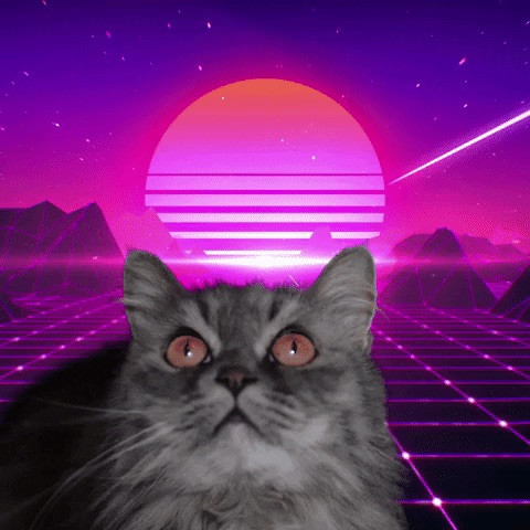 dns777
