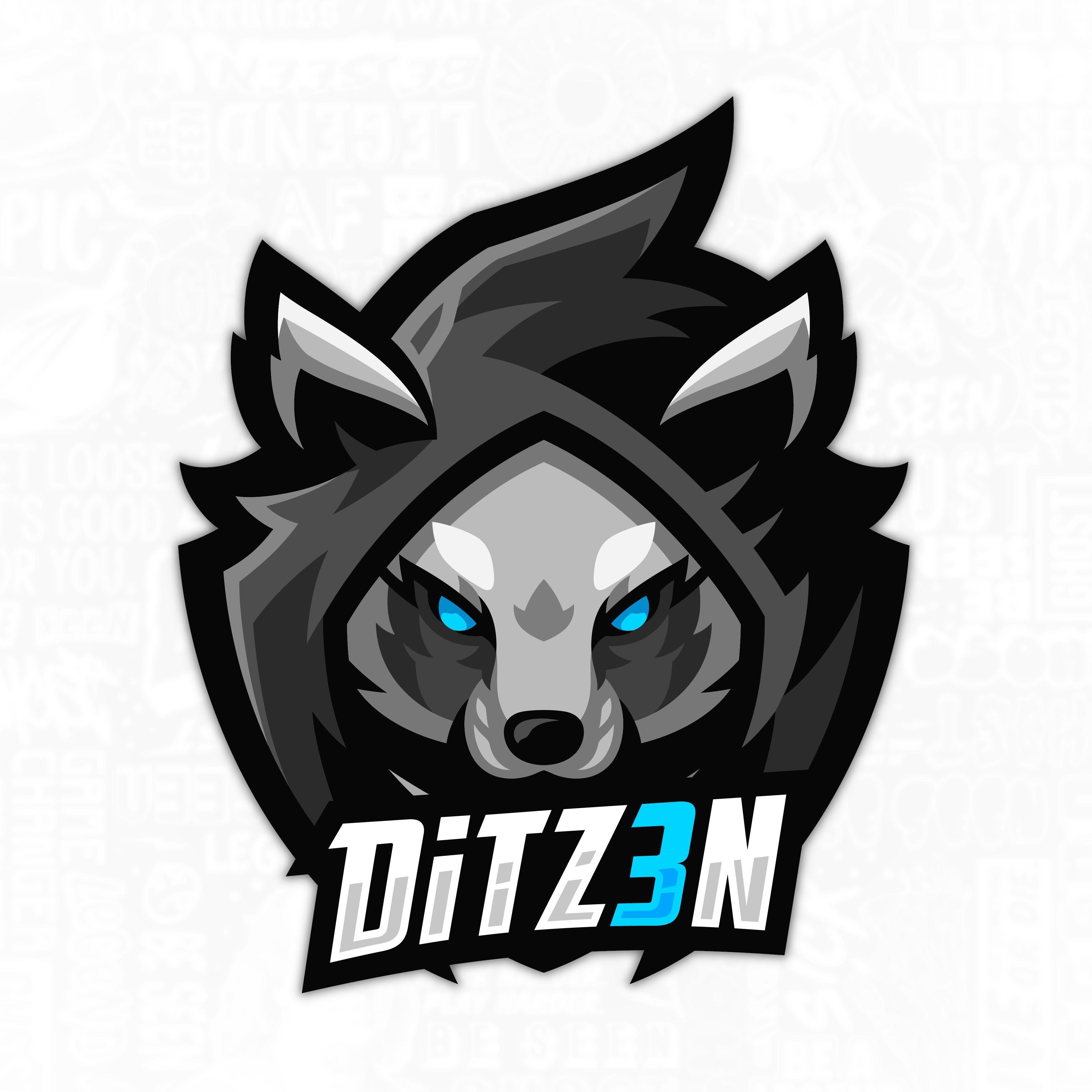 Player Ditz3n avatar