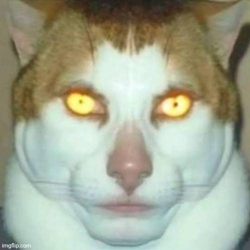 ZERION avatar