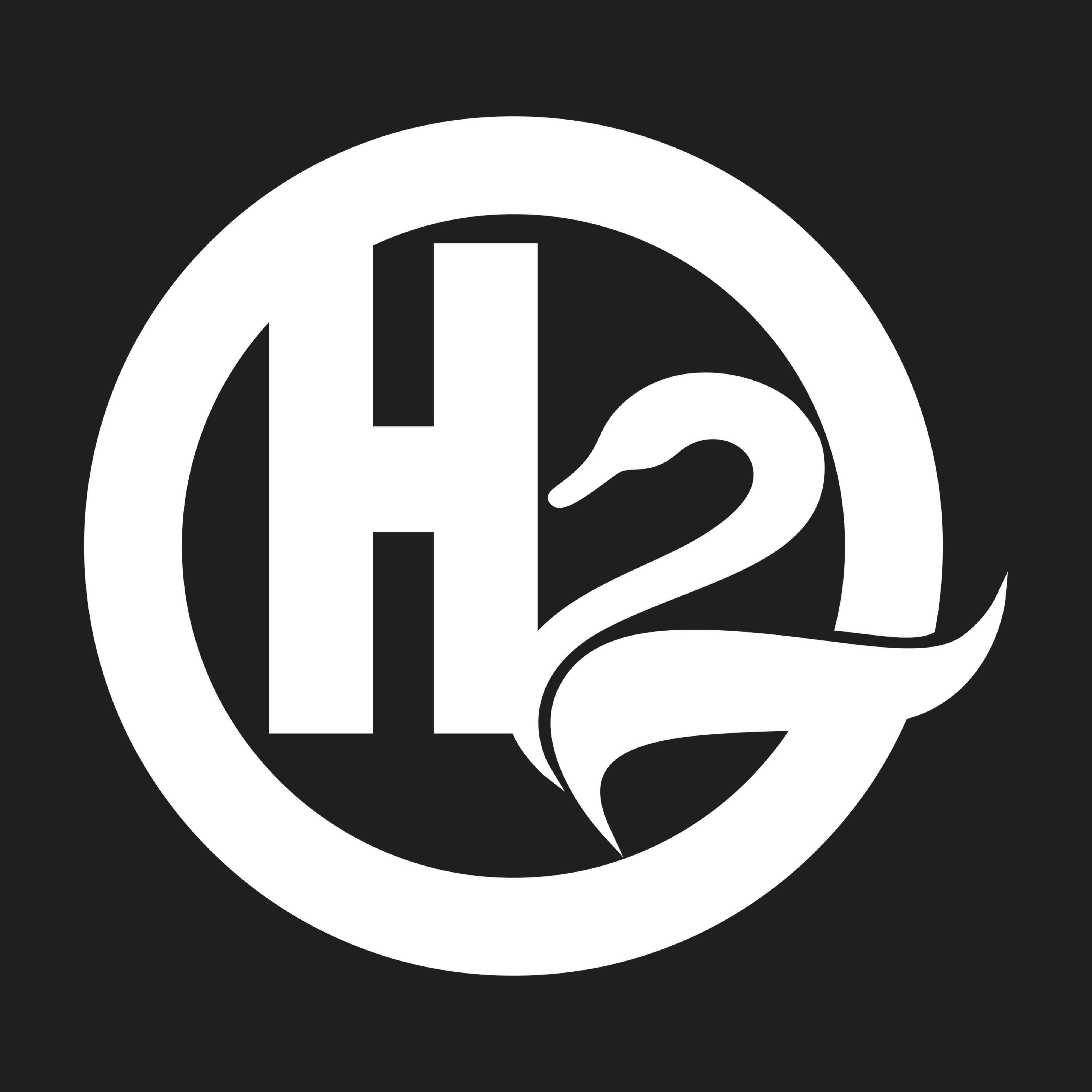 Player h2ag avatar