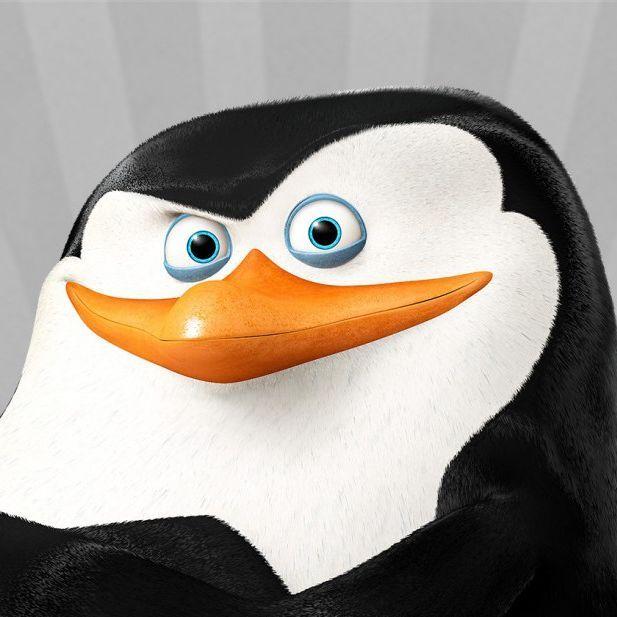 XacJIeP avatar