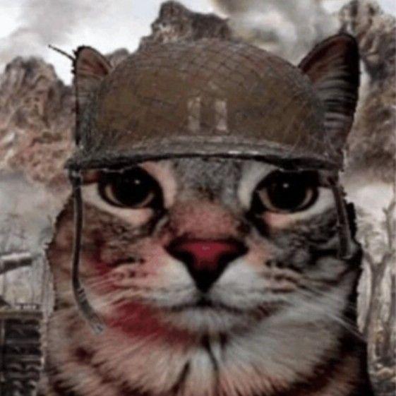 sadfrzzq avatar