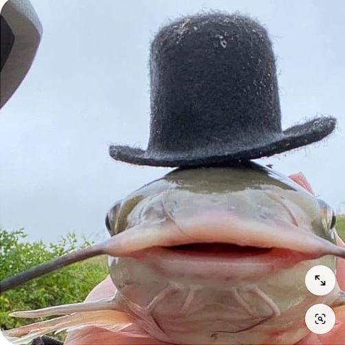 poizoner avatar