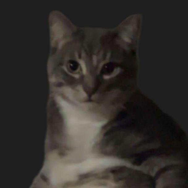 ItzMysticBtw avatar