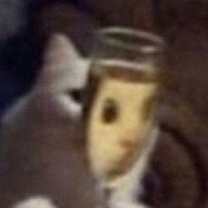 zxcyema6pam avatar