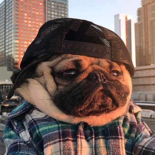 Kypawka avatar
