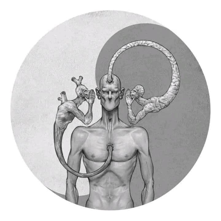 motogata avatar