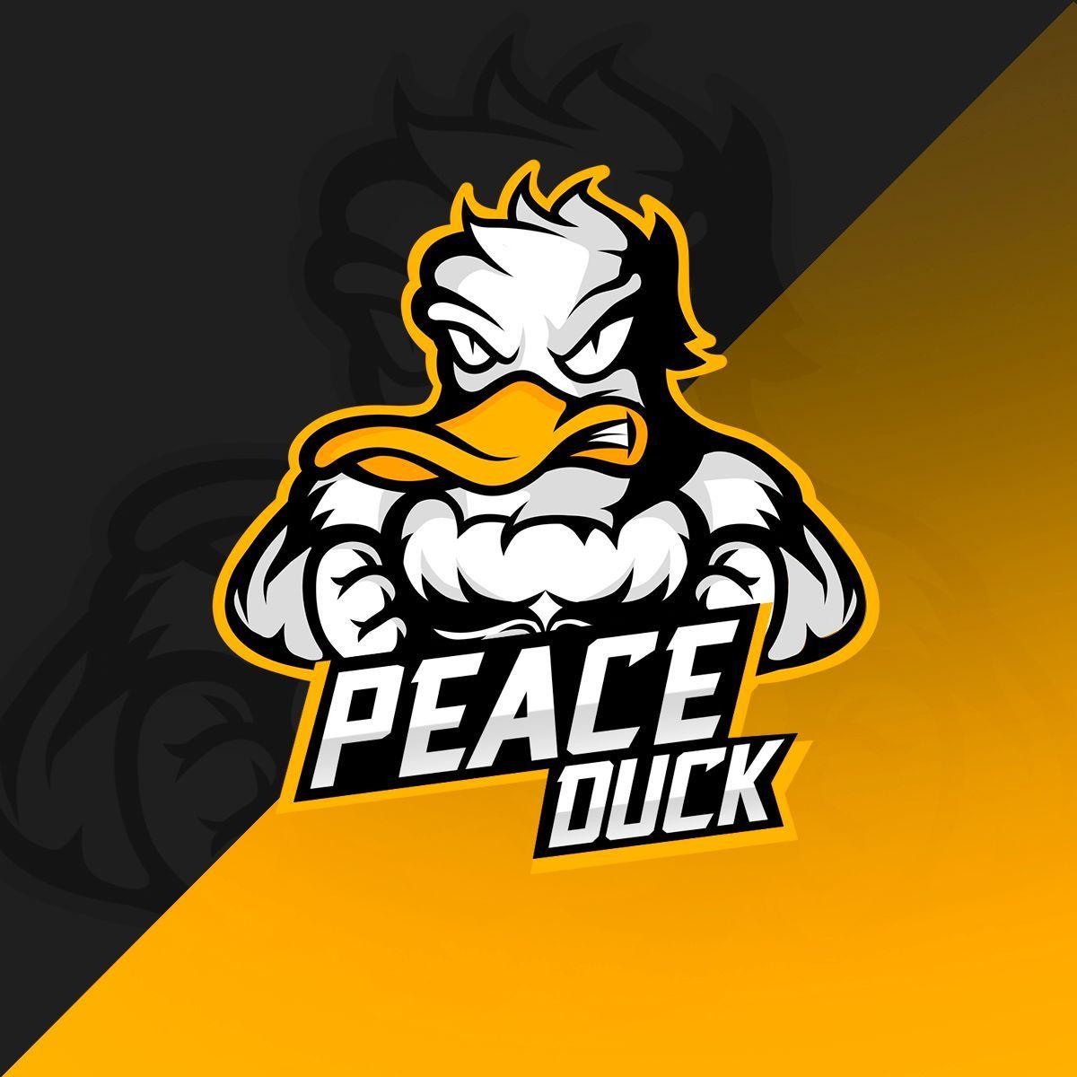 Player PeaceDuckX avatar