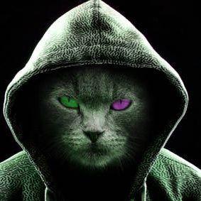 Spakainass avatar