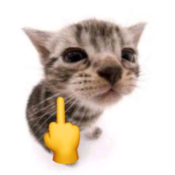 TrenUnit avatar